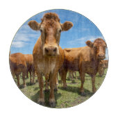 Farms | Brown Cow Group Snijplank (Voorkant)