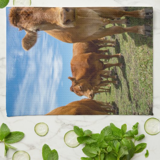 Farms Brown Cow Group Theedoek (Gevouwen)