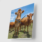 Farms Brown Cow Group Vierkante Klok (Hoek)