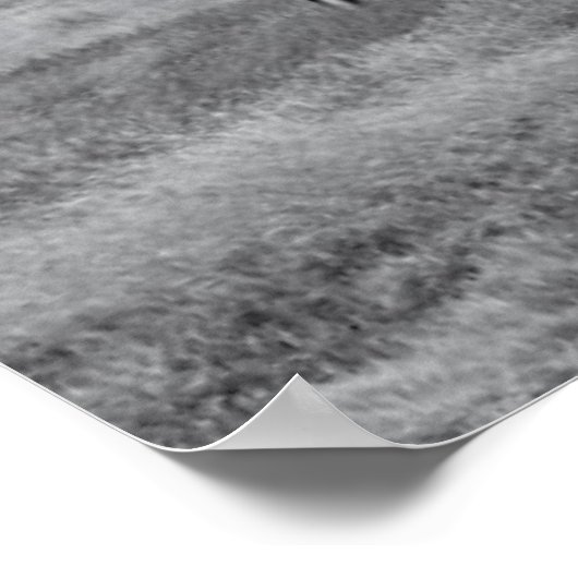 Farms | BW American Flag Barn Scene Poster (Hoek)