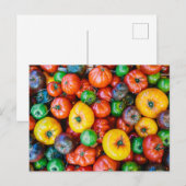 Farms Colorful Tomato Harvest Briefkaart (Voorkant / Achterkant)