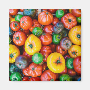 Farms Colorful Tomato Harvest Magneet