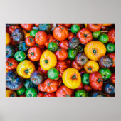 Farms Colorful Tomato Harvest Poster (Voorkant)