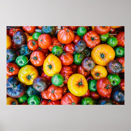 Farms Colorful Tomato Harvest Poster (Voorkant)