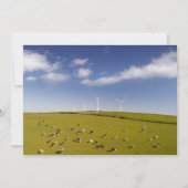 Farms | Cows Near Windmill Farm Bedankkaart (Voorkant)
