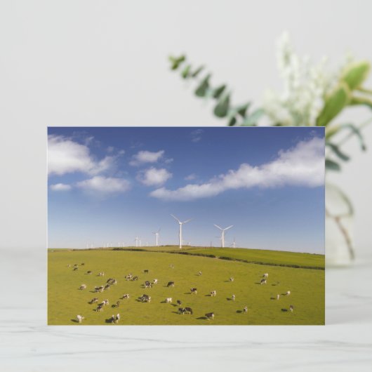 Farms | Cows Near Windmill Farm Bedankkaart (Staand voorkant)