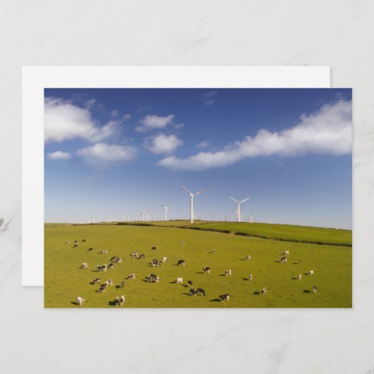 Farms | Cows Near Windmill Farm Bedankkaart (Voorkant / Achterkant)