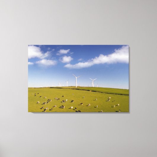 Farms | Cows Near Windmill Farm Canvas Afdruk (Voorkant)