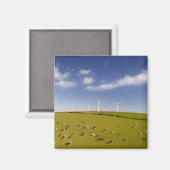 Farms | Cows Near Windmill Farm Magneet (Voorkant / Achterkant)