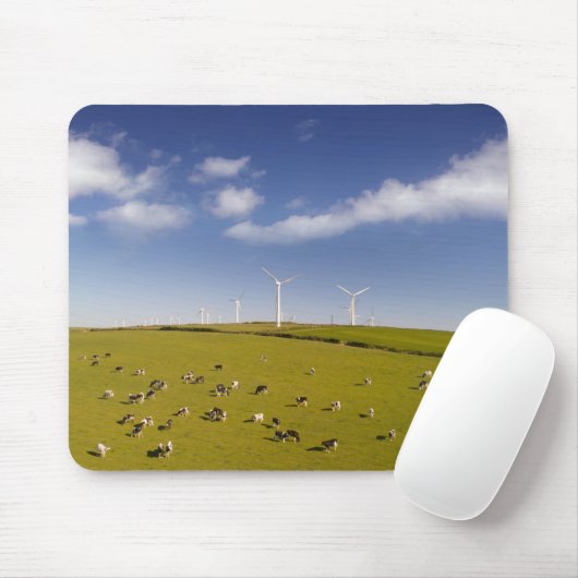 Farms | Cows Near Windmill Farm Muismat (Met muis)