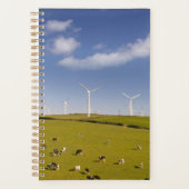 Farms | Cows Near Windmill Farm Planner (Voorkant)