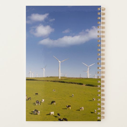 Farms | Cows Near Windmill Farm Planner (Achterkant)