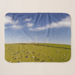 Farms Cows Near Windmill Farm Sherpa Deken