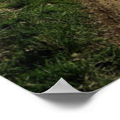 Farms English Countryside Dirt Road Poster (Hoek)