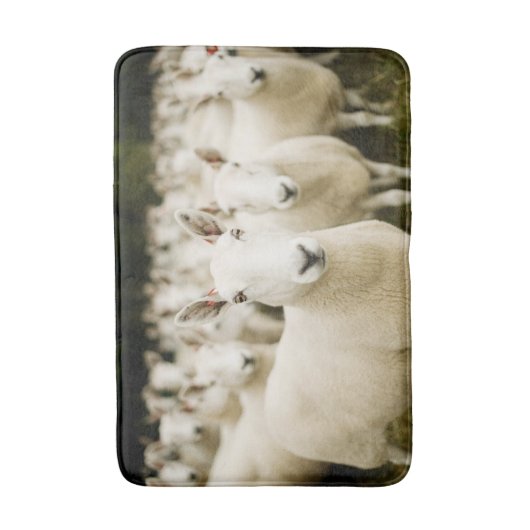 Farms | Herd of Sheep Badmat (Voorkant Verticaal)