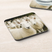 Farms | Herd of Sheep Bier Onderzetter (Linkerzijde)