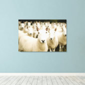 Farms | Herd of Sheep Canvas Afdruk (Insitu (Houten vloer))