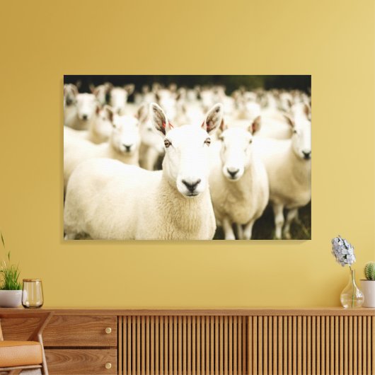Farms | Herd of Sheep Canvas Afdruk (Insitu (Woonkamer))