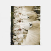 Farms | Herd of Sheep Fleece Deken (Voorkant)