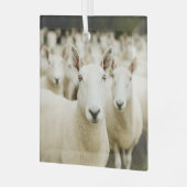 Farms | Herd of Sheep Glas Ornament (Voorkant links)