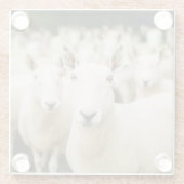 Farms | Herd of Sheep Glazen Onderzetter (Achterkant)
