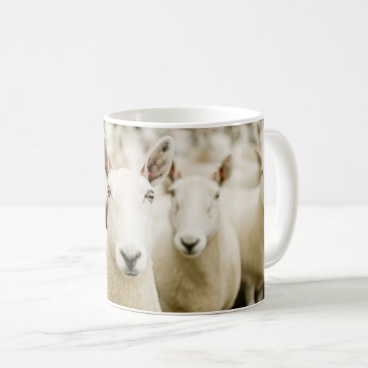 Farms | Herd of Sheep Koffiemok (Voorkant rechts)