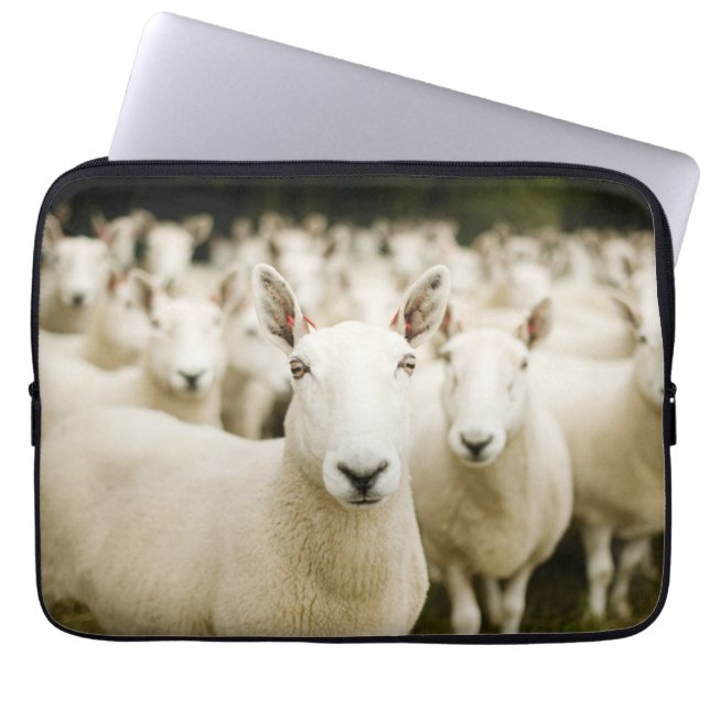 Farms | Herd of Sheep Laptop Sleeve (Voorkant)