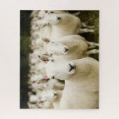Farms | Herd of Sheep Legpuzzel (Verticaal)