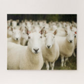 Farms | Herd of Sheep Legpuzzel (Horizontaal)