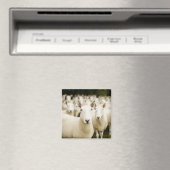 Farms | Herd of Sheep Magneet (Insitu (Vaatwasser))
