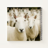 Farms | Herd of Sheep Notitieboek (Achterkant)