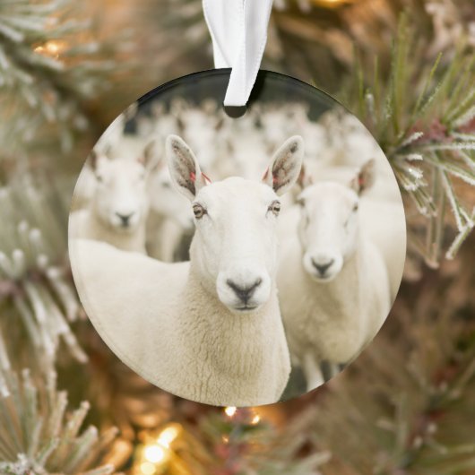 Farms | Herd of Sheep Ornament (Boom)