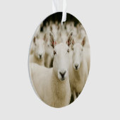 Farms | Herd of Sheep Ornament (voorkant)