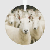 Farms | Herd of Sheep Ornament (achterkant)