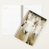 Farms | Herd of Sheep Planner (Display)