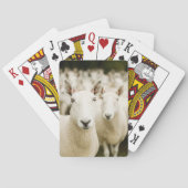 Farms | Herd of Sheep Pokerkaarten (Achterkant)