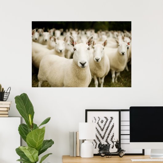 Farms | Herd of Sheep Poster (Thuiskantoor)