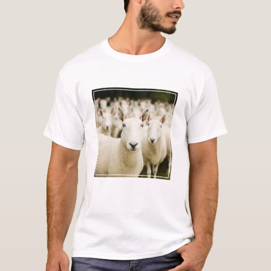 Farms | Herd of Sheep T-shirt (Voorkant)