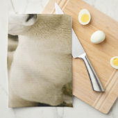 Farms | Herd of Sheep Theedoek (Quarter Fold)