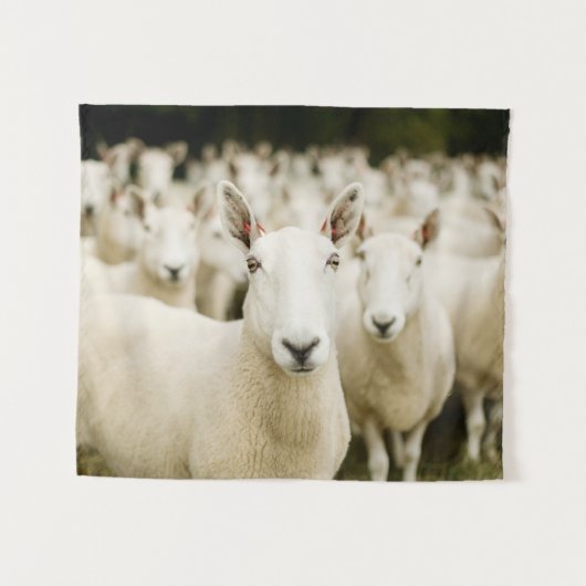 Farms | Herd of Sheep Wandkleed (Voorkant (horizontaal))