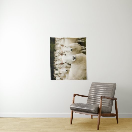 Farms | Herd of Sheep Wandkleed (In situ)