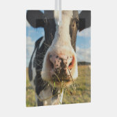 Farms | Holstein Cow Chewing Glas Ornament (Voorkant Rechts)