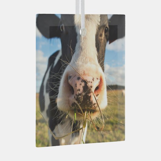 Farms | Holstein Cow Chewing Glas Ornament (Voorkant Rechts)