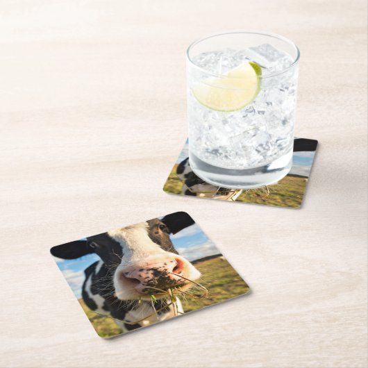 Farms | Holstein Cow Chewing Kartonnen Onderzetters (Insitu)