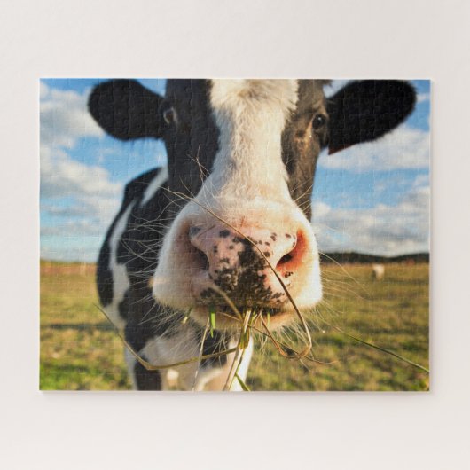 Farms | Holstein Cow Chewing Legpuzzel (Horizontaal)