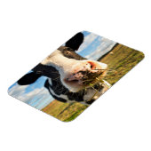Farms | Holstein Cow Chewing Magneet (Linkerzijde)