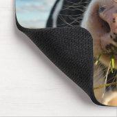 Farms | Holstein Cow Chewing Muismat (Hoek)