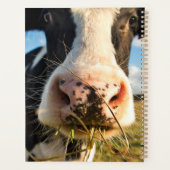 Farms | Holstein Cow Chewing Planner (Achterkant)