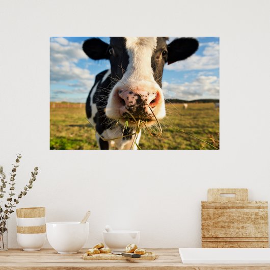 Farms | Holstein Cow Chewing Poster (Keuken)
