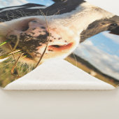 Farms | Holstein Cow Chewing Sherpa Deken (3/4)